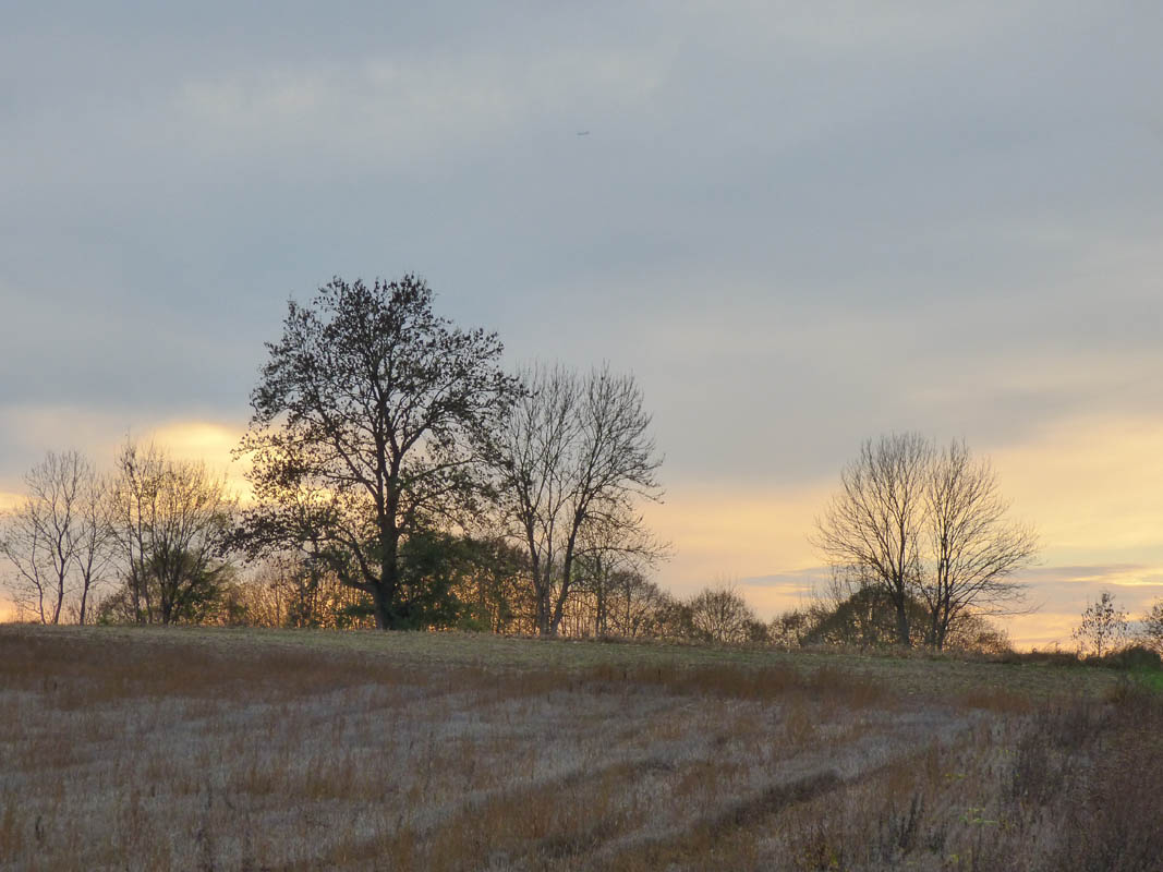 Vallée de l'Ysieux (novembre 2015)